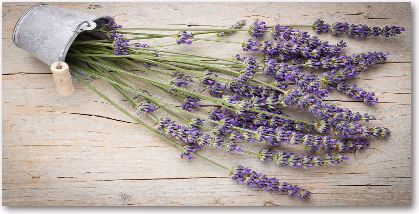 Pannello protettivo per cucina Tulup® in vetro temperato - 100x50 - Protezione anti-schizzi. Motivo: fiori e piante, lavanda in vaso