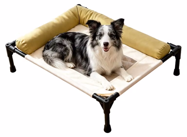 Cuccia per cani da esterno, resistente e lavabile