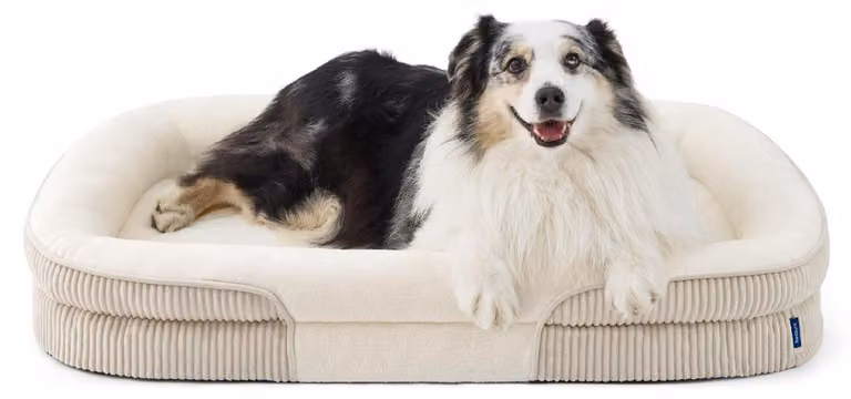 Cuccia ortopedica per cani, modello XL, colore crema, dimensioni 114x81x18 cm