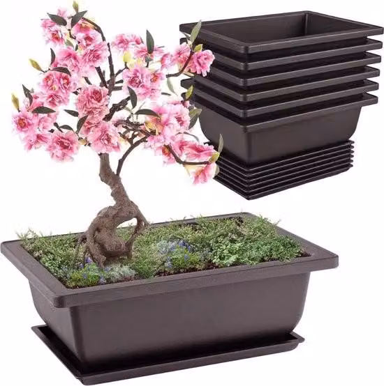 Set di vasi per bonsai, 6 pezzi con sottovasi, per uso interno ed esterno