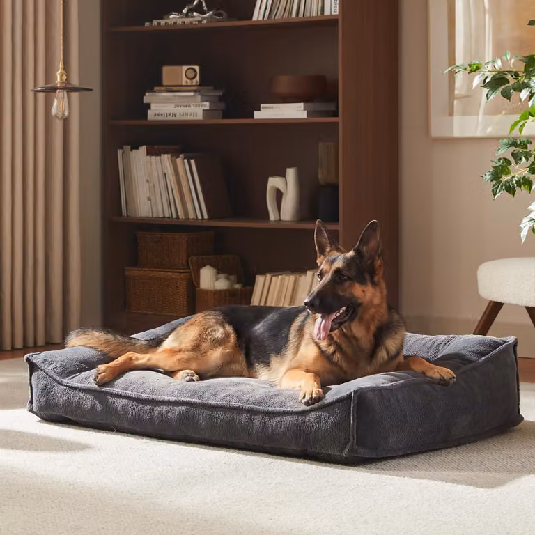 Cuccia per cani grande, taglia XXL - 122x91x26 cm - Divano ergonomico per cani