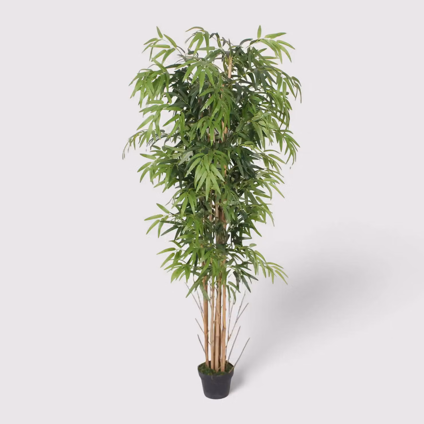 Kauda - Pianta decorativa di bambù con foglie artificiali H 180 cm