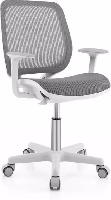 Sedia da scrivania girevole Design Mania per bambini, ergonomica e regolabile in altezza, con braccioli e ruote, Grigio