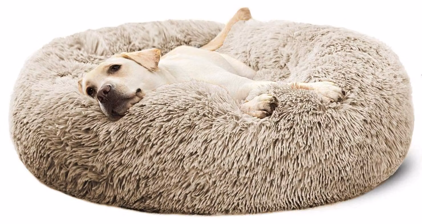 Solidchoice - Cuscino a forma di ciambella, ideale per cani e cuccioli, taglia grande
