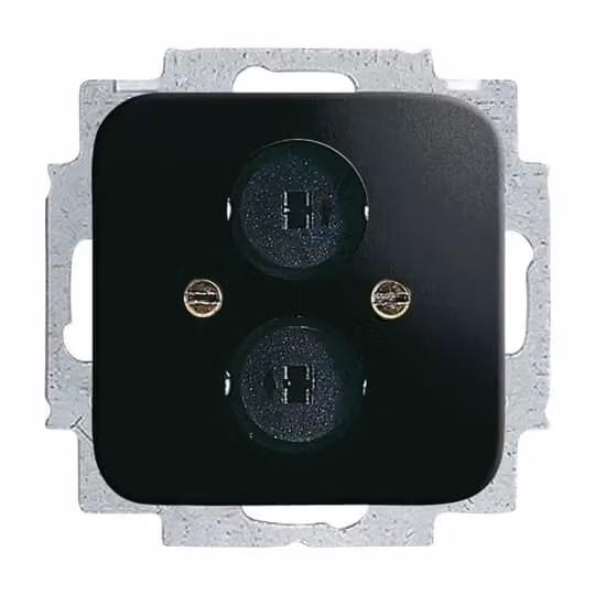 Busch-Jaeger 2147 U-215, piastra centrale con anello di supporto, colore nero
