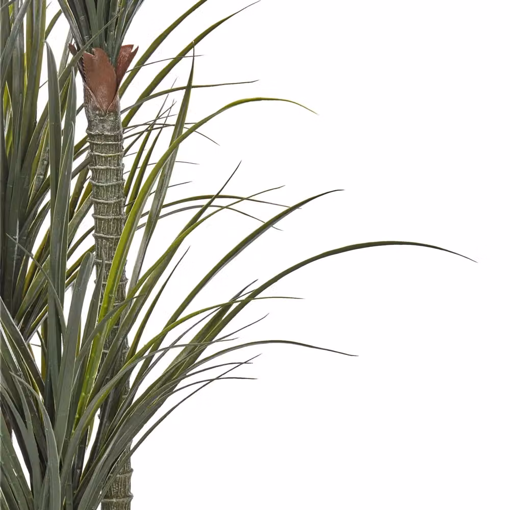 Pianta artificiale Dracaena verde con vaso in plastica BELIANI, Altezza: 198 cm – 2