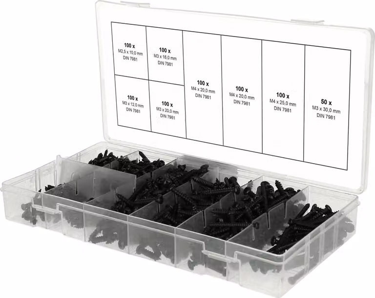 KS TOOLS Assortimento di viti autofilettanti con testa a croce M2.5-M3, 750 pezzi - 970.0800