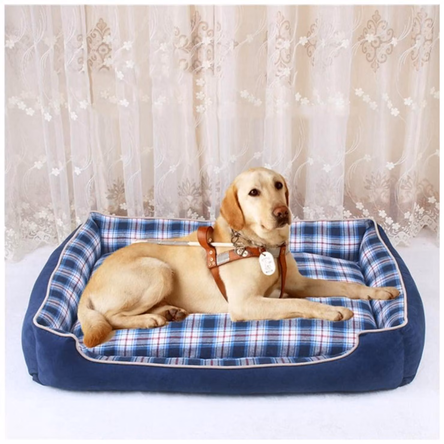 Cuccia per cani con cuscino reversibile, rettangolare, taglia XXL (90x68x16 cm), colore blu