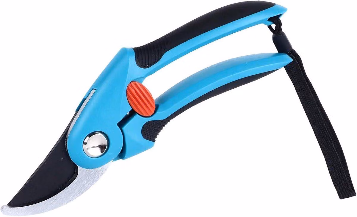 Dailygoods - Forbici per potatura con design ergonomico - Ideali per la potatura di alberi da frutto - Cura del giardino - Lame in acciaio SK5 - Maniglie confortevoli - Taglio efficiente