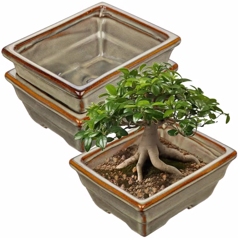 Solidchoice - Set di 2 vasi in Vetroceramica per bonsai, con fori di drenaggio, ideali per piante da interno