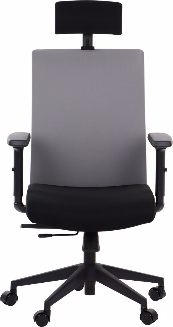 Sedia da ufficio ergonomica girevole RIVERTON F/H, braccioli regolabili, poggiatesta, seduta scorrevole (avanti-indietro), nero/grigio