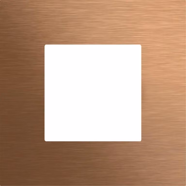 Pannello frontale Gira. Modulo per impronte digitali Gira KeyIn. Sistema 106. Bronzo. 5545921
