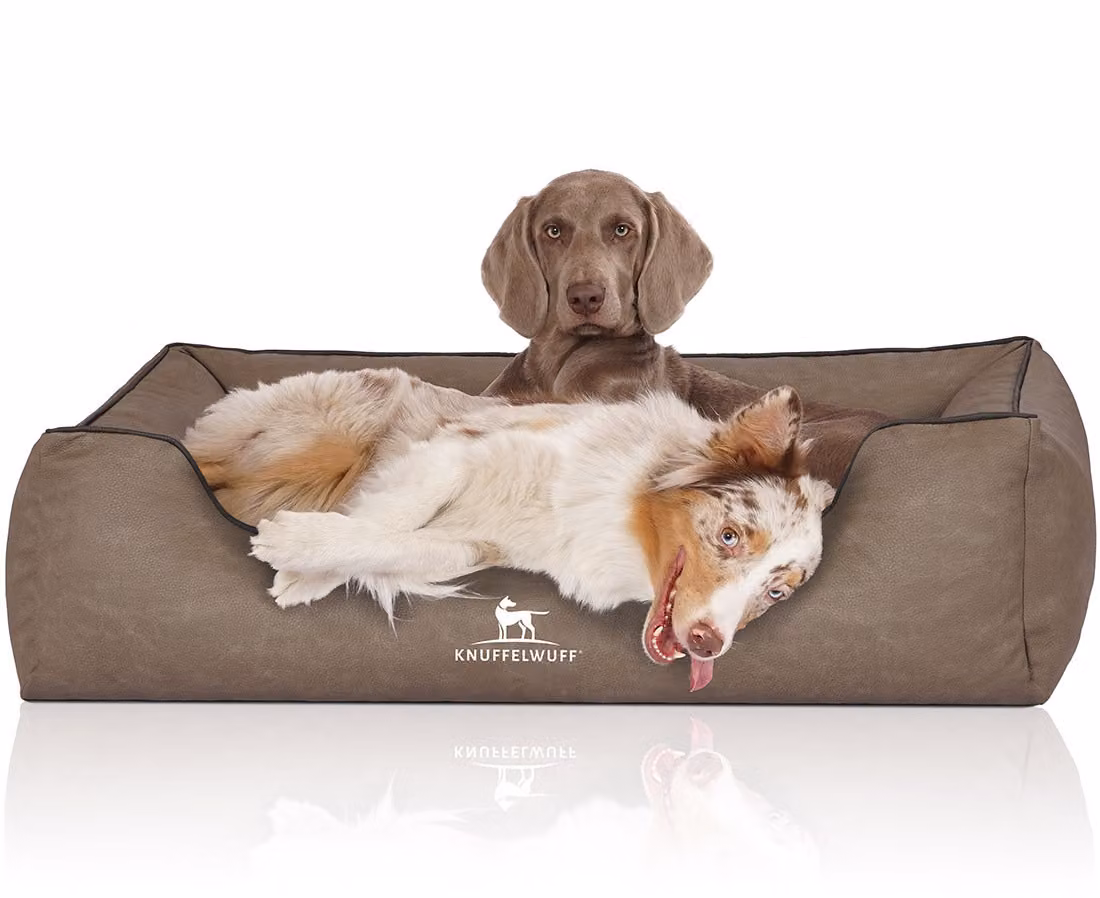 Cuccia per cani in Scottsdale XXL stone