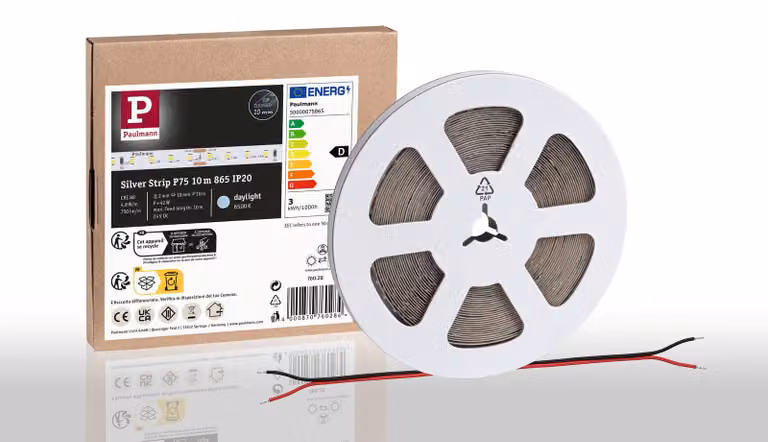 Paulmann Pro Strip, striscia LED argentata, modello P75 865