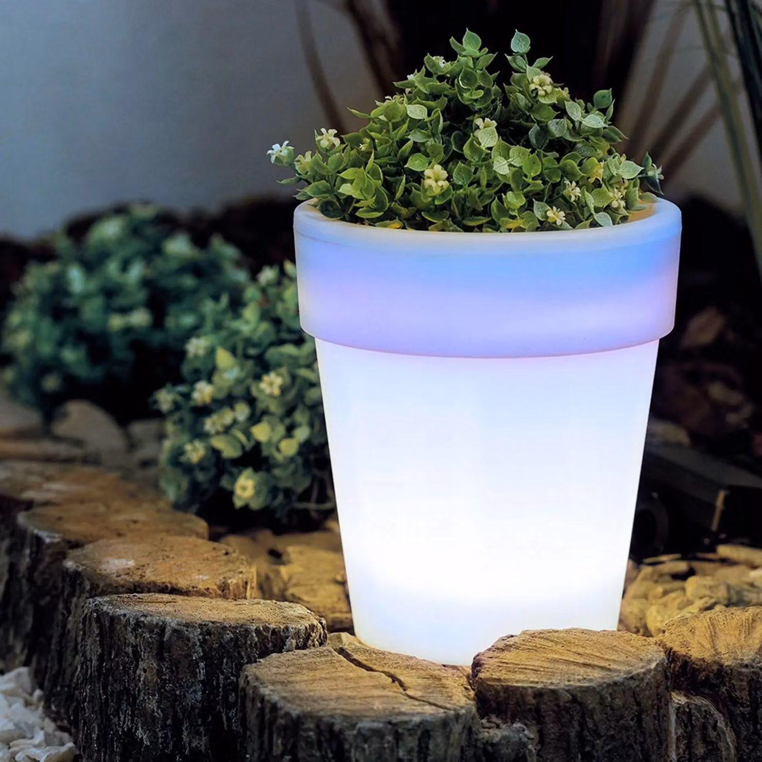 Vaso da fiori solare con illuminazione a LED – 4 LED bianchi freddi – Ø16,5 x 19 cm – Si accende automaticamente al tramonto – Alimentato a energia solare – Per giardino, balcone e terrazza [11739]