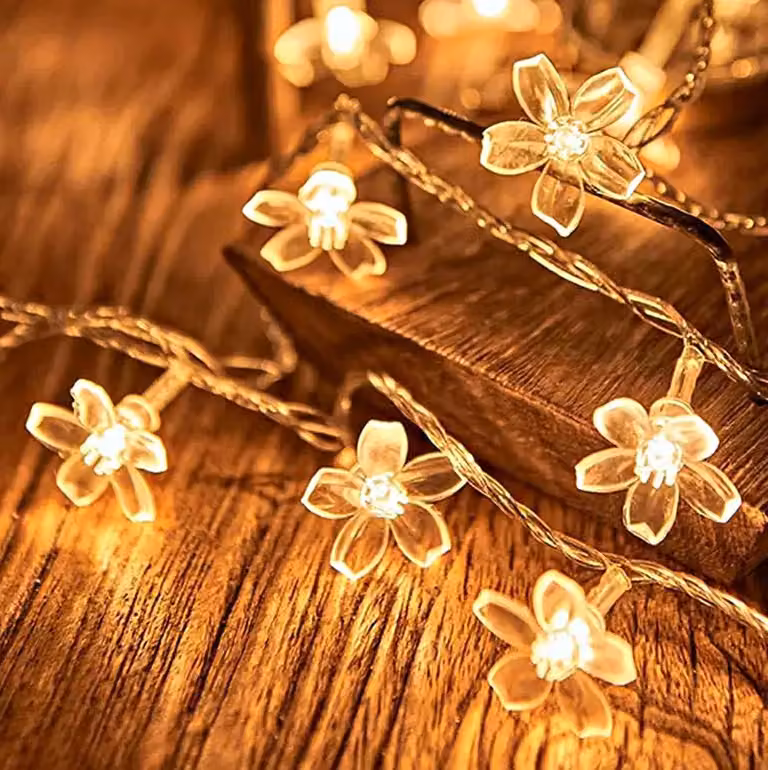 Catena luminosa a forma di fiori, 40 LED, 6 metri, alimentazione USB, luce bianca calda, per interni