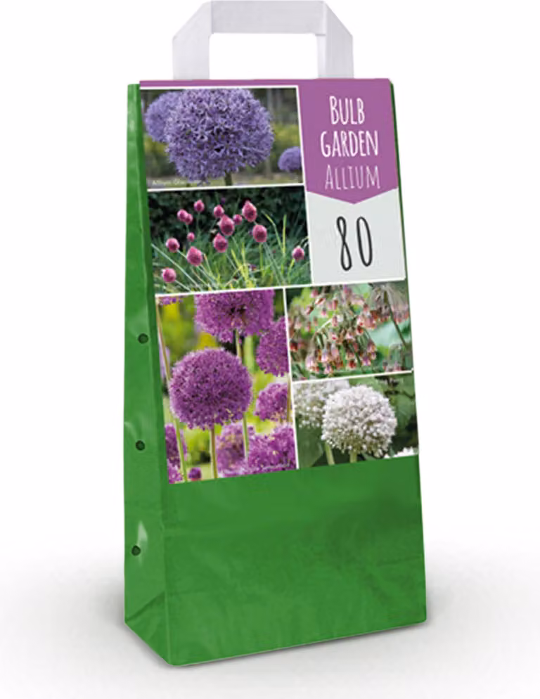 Bulbi da fiore - Miscela di Allium da giardino - Vari colori - 80 pezzi - 50-150cm - Ø5cm - Pianta da giardino - Multideal