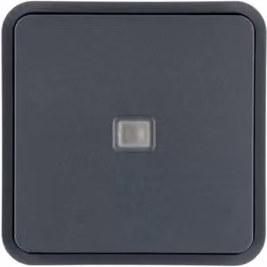 Berker KNX W.1 WIPPE F.TASTER-BA 1F.M (30863545)