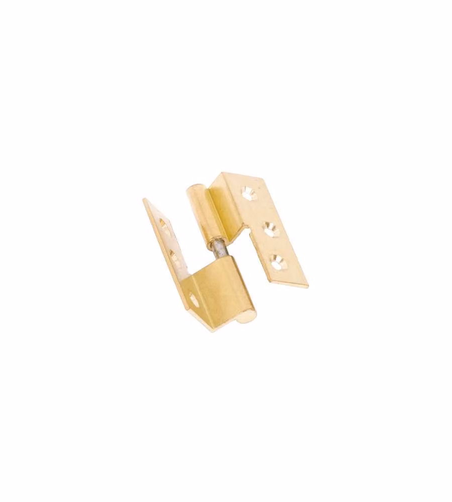Cerniere Con Collo Lisce Ottone Lucido Mm.40X40 Sinistra