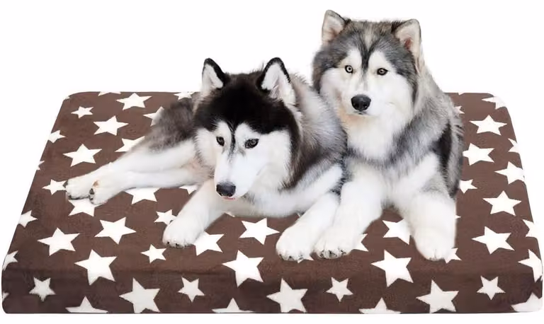 Cuccia per cani, impermeabile, con rivestimento removibile e lavabile, reversibile, dimensioni: 122 x 76 x 7 cm, colore: marrone