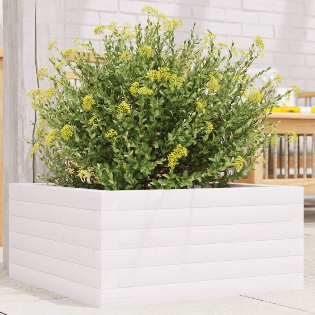 vidaXL Fioriera da Giardino in Legno di Pino Bianco L/P/H: 50 x 50 x 23 cm