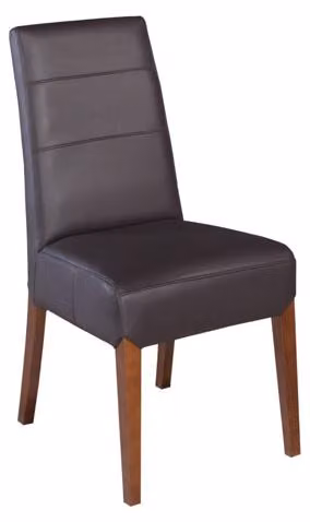Esszimmer Gruppe Stuhl Garnitur 2x Stühle Lehn Stuhl Sitz Polster Massiv Holz