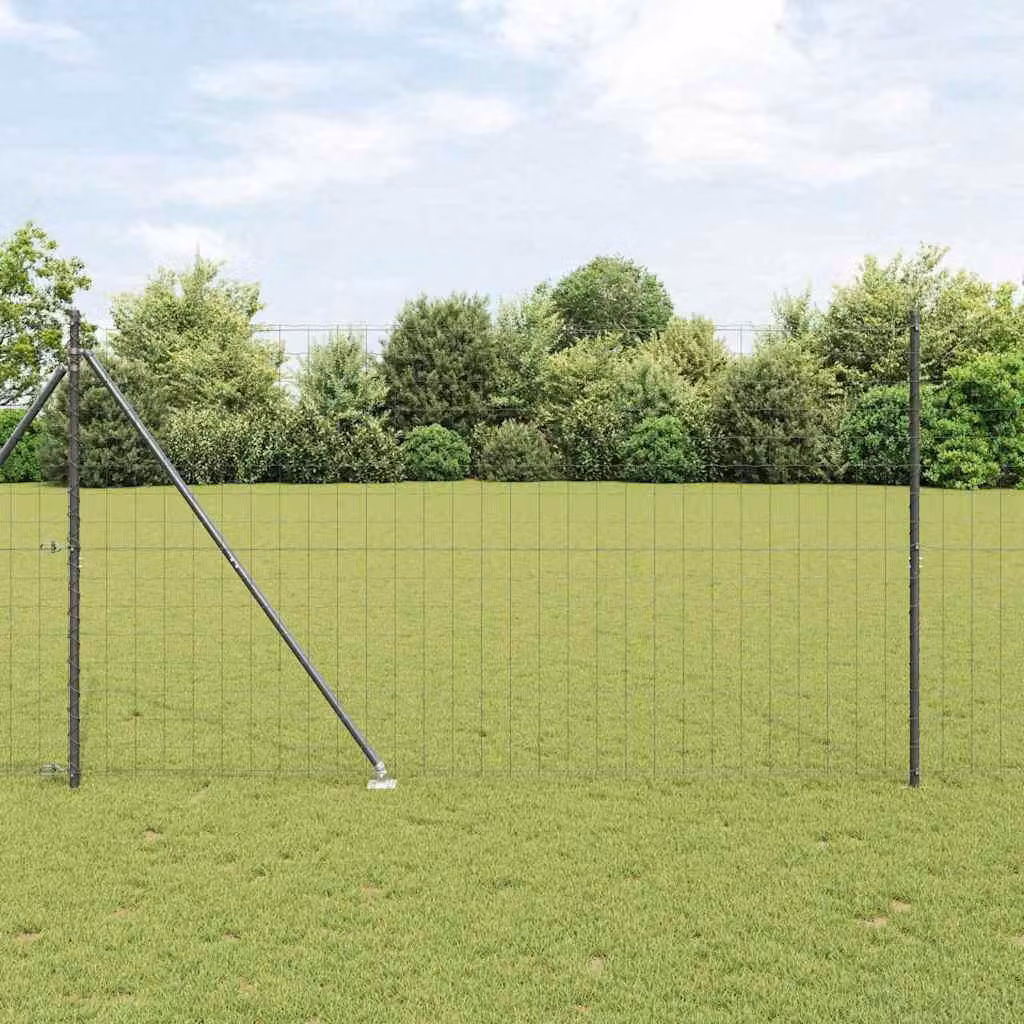 Recinzione in rete saldata con punte 10 x 1,6 m (L x A)