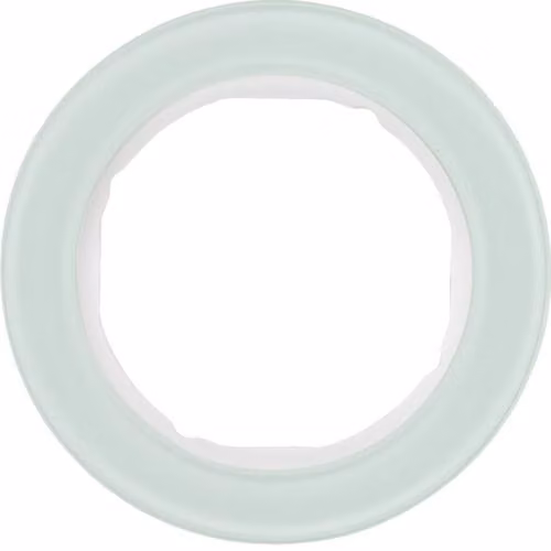 Berker 10112009 Telaio in vetro, bianco polare Serie R.classic