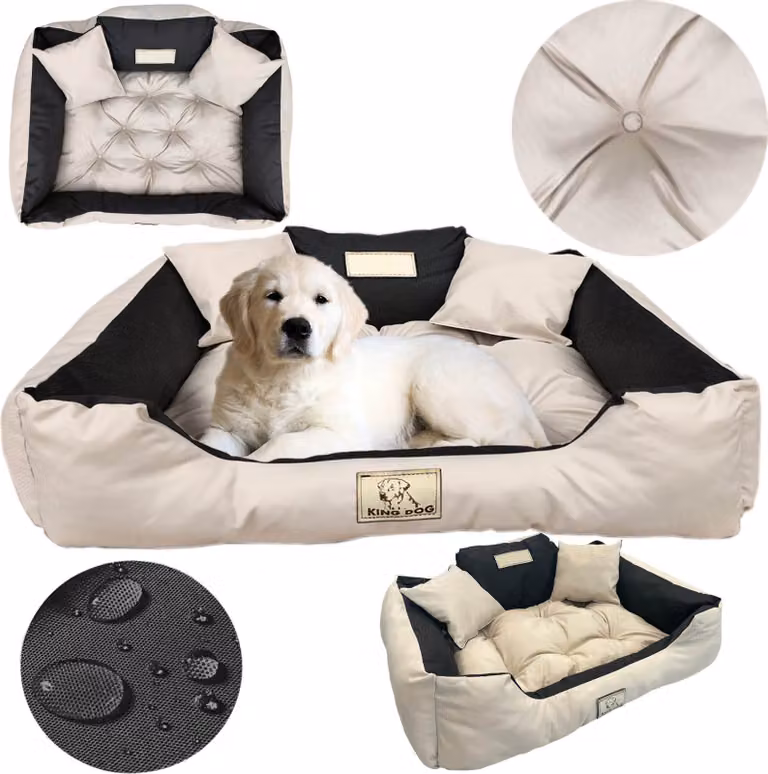 Cuccia per cani, divanetto impermeabile, 145 x 115 cm, spazio per il nome, lettiera, cuscini, divanetto, divano, recinto, beige