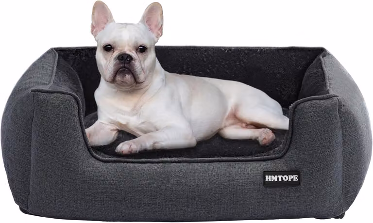 Cuscino per cani, cuccia per cani, divano per cani, cuscino per cani, cuccia a forma di grotta, sfoderabile e lavabile, colore grigio scuro, dimensioni 70 x 55 x 21 cm