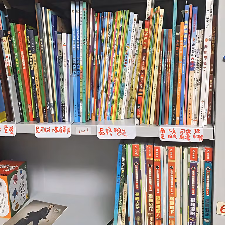 20 divisori per scaffali – Ideali per biblioteche e archivi