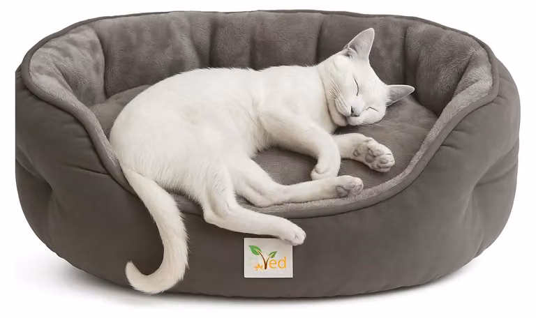 Letto morbido per gatti – Cuccia rotonda e lavabile, ideale per gatti domestici e gattini