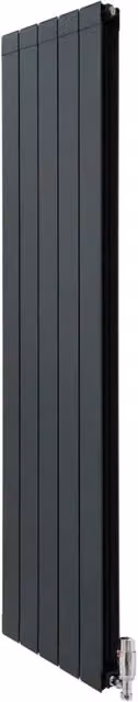 Radiatore in Alluminio e Valvole Cromate TRV in Verticale Grigio Antracite 1800mm x 395mm
