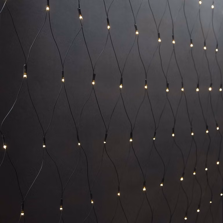 Nedis Luci decorative in rete - Bianco caldo - 160 LED - 2 x 1 m - Effetti di luce: 7 - Uso interno ed esterno - Alimentazione di rete
