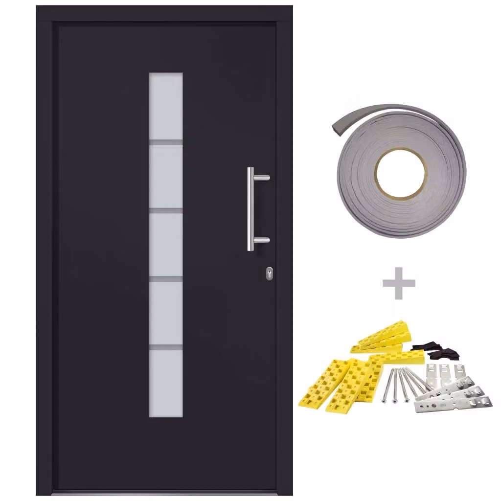 Porta d'Ingresso Moderna in Alluminio e PVC Antracite vidaXL L: 110 cm, H: 210 cm – 2