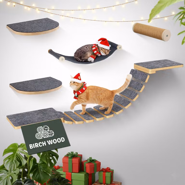 Kit modulare per pareti da arrampicata per gatti, realizzato in legno di betulla, composto da 5 elementi