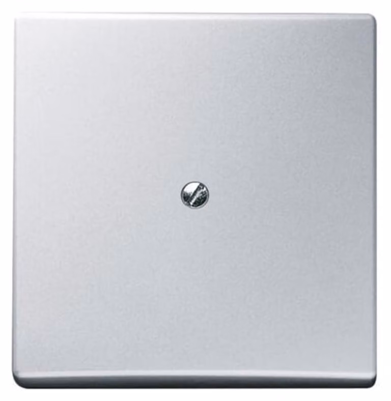 Disco centrale cieco Busch-Jaeger con anello di supporto 2138-33
