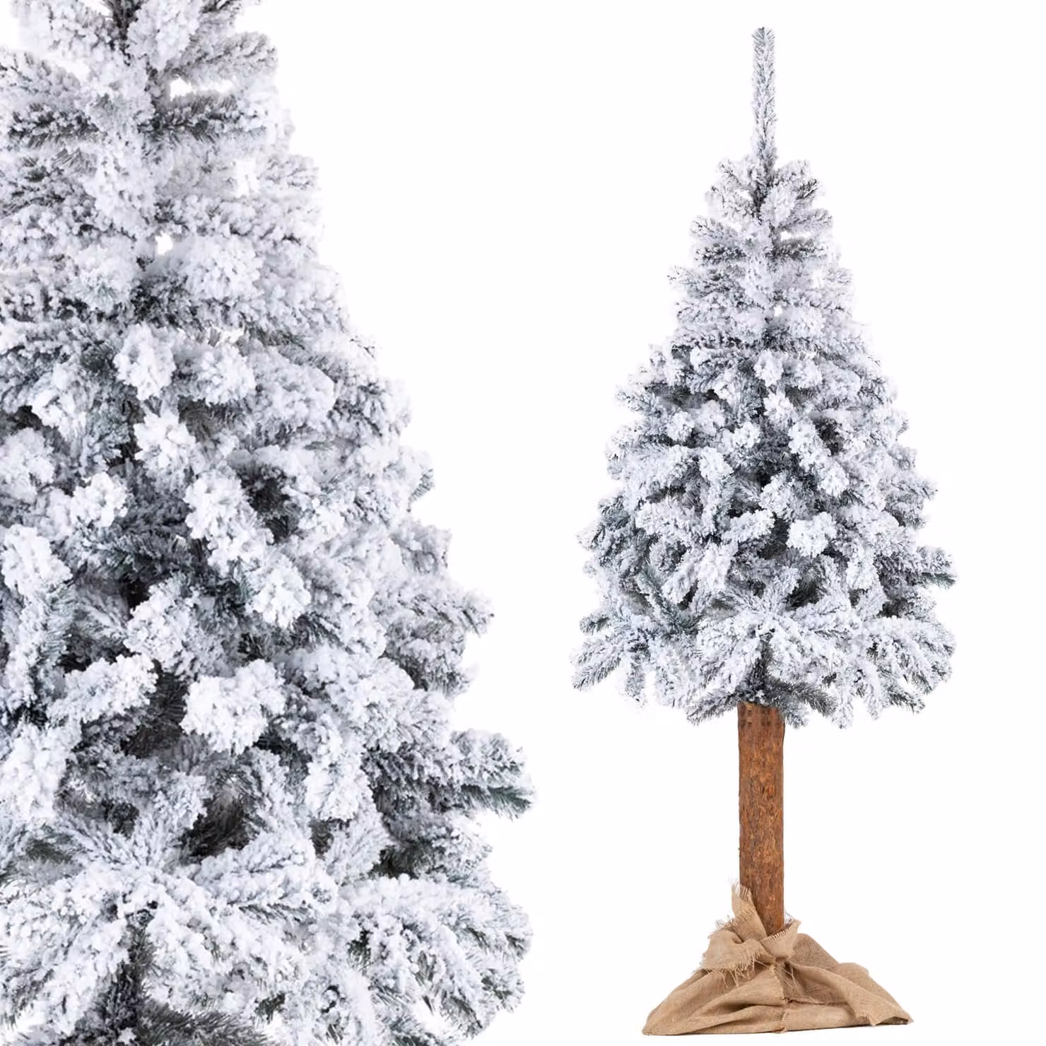 Albero di Natale Abete rosso con neve su carvi 220 cm