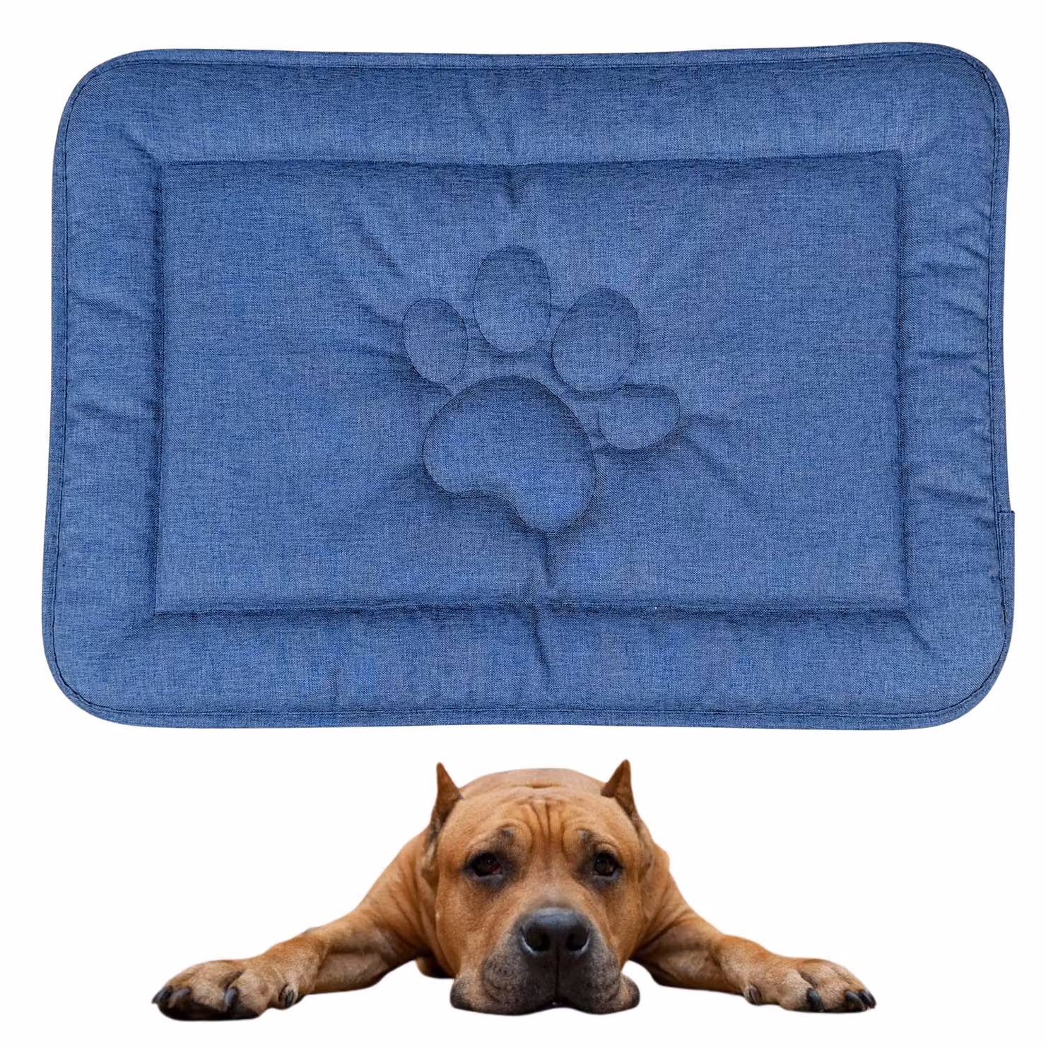 Tappeto per cani DOTTY con motivo a zampa - blu denim - misura L (88×60 cm) - elegante cuccia lavabile - impermeabile e antiscivolo per cani di taglia grande