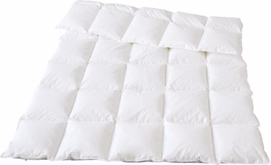Piumino Traumina Plume in piuma biologica, per tutte le stagioni, leggero, classe termica 3, misura 200x220 cm