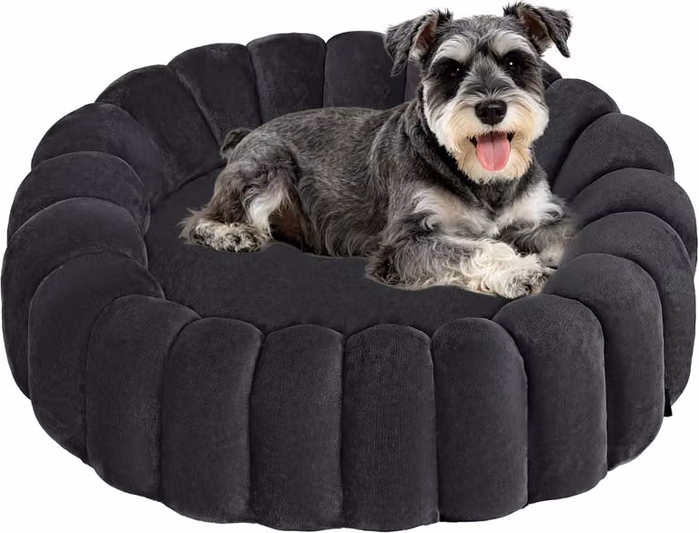Cuccia per cani, 70 cm, grigio scuro, per uso interno