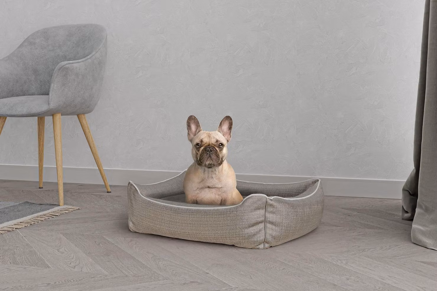 Omgoods - Cuccia elegante per cani e gatti, in poliestere, color beige, dimensioni 62 x 50 x 17 cm