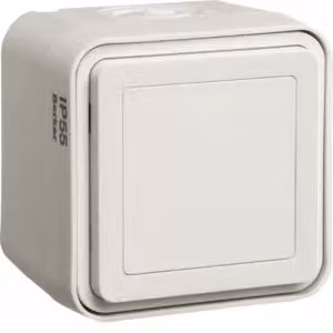 Berker 42903512 Tappo cieco Berker W.1 bianco polare opaco
