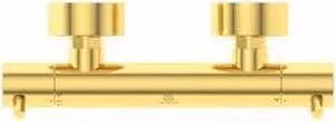Brausethermostat CERATHERM T125 AP, Pin-Griffe oro spazzolato oro spazzolato