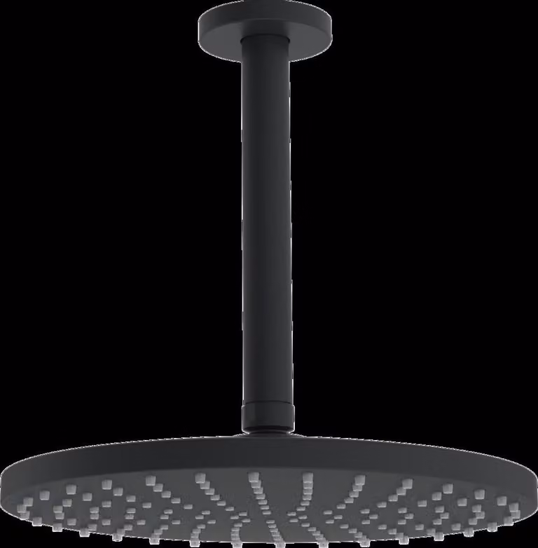 HANSA HANSAVIVA Douche de tête, ronde, diamètre 250mm, 1 jet, montage au plafond, 4427020033, 4427020033
