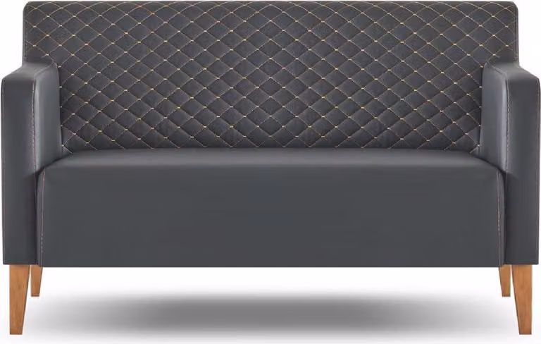 Sofa 2-Sitzer Arbeitszimmer Schwarz Einfarbig Modern Design Wohnzimmer