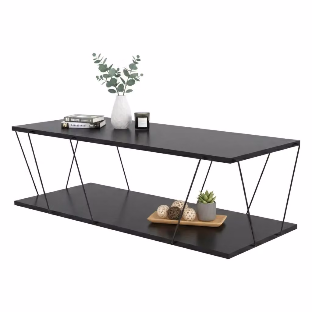 Tavolino da salotto Sarika DMORA, tavolo basso moderno con portariviste, L/P/H: 120 x 50 x 30 cm, Antracite e Nero – 2