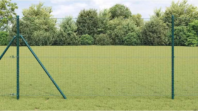 Maison Exclusive - Palo della recinzione Verde 10 x 1 m (rete 25 x 25 mm) Acciaio