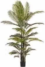 Pianta artificiale Kenzia verde con 33 foglie, Altezza: 210 cm