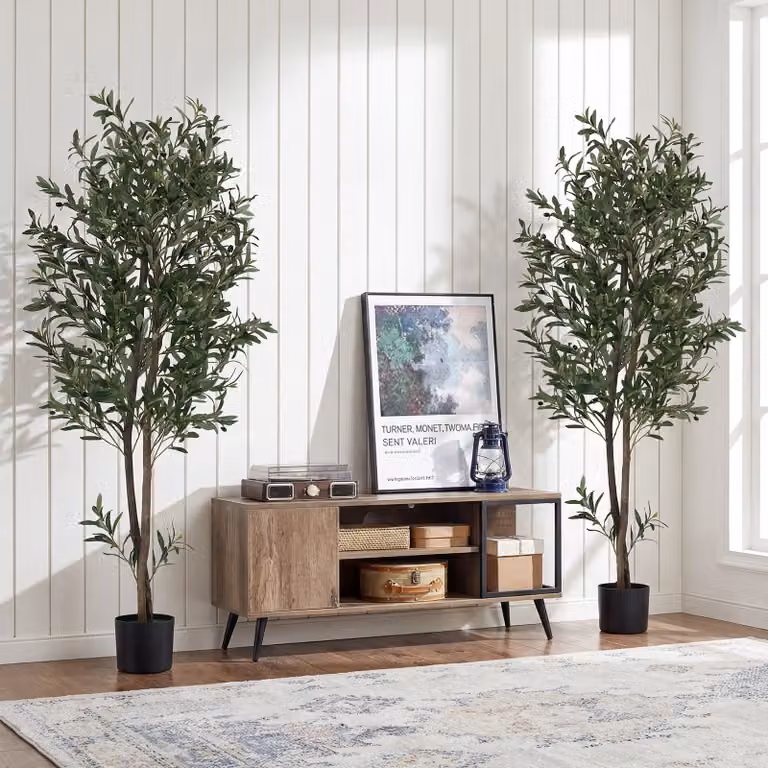 Set di 2 alberi finti di ulivo Costway con frutti e muschio realistico, foglie in tessuto multicolore, Altezza: 180 cm